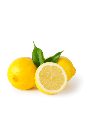 Kombucha jengibre limón 500cc